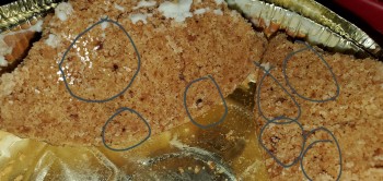 Consumer Review - Food Safety Sara Lee Cheesecake Crust Just bought a frozen Sara Lee Cheesecake for my son's birthday. When cutti... photo #5