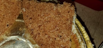 Consumer Review - Food Safety Sara Lee Cheesecake Crust Just bought a frozen Sara Lee Cheesecake for my son's birthday. When cutti... photo #6