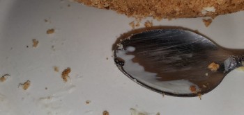 Consumer Review - Food Safety Sara Lee Cheesecake Crust Just bought a frozen Sara Lee Cheesecake for my son's birthday. When cutti... photo #9