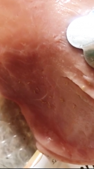 Consumer Review - Food Safety Woolworths Balwyn, Balwyn VIC, Australia I bought English ham Riverland brand think was $2. The use... photo #3