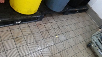 Informe de seguridad alimentaria del consumidor Walmart Supercenter, Lapalco Boulevard, Marrero, LA, USA The meat department is completely hazardous... foto #15