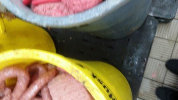 Informe de seguridad alimentaria del consumidor Walmart Supercenter, Lapalco Boulevard, Marrero, LA, USA The meat department is completely hazardous... foto #28