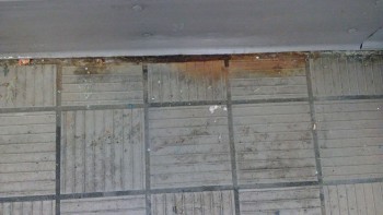 Informe de seguridad alimentaria del consumidor Walmart Supercenter, Lapalco Boulevard, Marrero, LA, USA The meat department is completely hazardous... foto #127