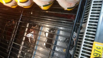Informe de seguridad alimentaria del consumidor Walmart Supercenter, Lapalco Boulevard, Marrero, LA, USA The meat department is completely hazardous... foto #167