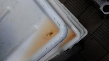 Informe de seguridad alimentaria del consumidor Walmart Supercenter, Lapalco Boulevard, Marrero, LA, USA The meat department is completely hazardous... foto #195
