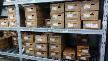 Informe de seguridad alimentaria del consumidor Walmart Supercenter, Lapalco Boulevard, Marrero, LA, USA The meat department is completely hazardous... foto #197