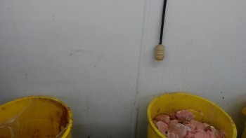 Informe de seguridad alimentaria del consumidor Walmart Supercenter, Lapalco Boulevard, Marrero, LA, USA The meat department is completely hazardous... foto #352