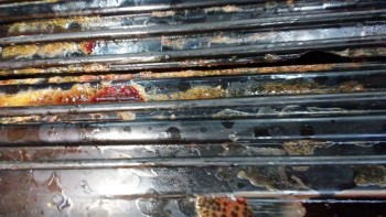 Informe de seguridad alimentaria del consumidor Walmart Supercenter, Lapalco Boulevard, Marrero, LA, USA The meat department is completely hazardous... foto #356
