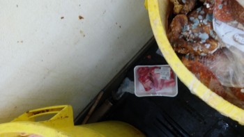 Informe de seguridad alimentaria del consumidor Walmart Supercenter, Lapalco Boulevard, Marrero, LA, USA The meat department is completely hazardous... foto #399