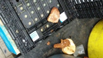 Informe de seguridad alimentaria del consumidor Walmart Supercenter, Lapalco Boulevard, Marrero, LA, USA The meat department is completely hazardous... foto #47
