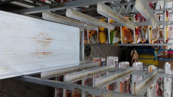Informe de seguridad alimentaria del consumidor Walmart Supercenter, Lapalco Boulevard, Marrero, LA, USA The meat department is completely hazardous... foto #258
