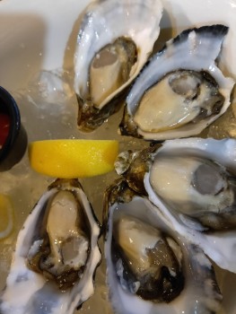 Consumer Review - Food Safety Jalan Riang, Ah Hua Kelong @ Riang, Singapore We had oysters and a clam sashimi along with some othe... photo #1