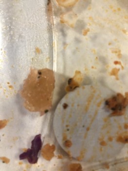 Consumer Food Safety Report Marks & Spencer, UK have just put what looks and felt like raw chicken in my mouth found in your nak... photo #2