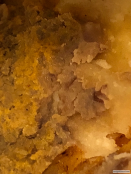 Consumer Review - Food Safety Taco Bell, 16676 Clover Rd, Noblesville, IN 46060, USA I had a Mexican pizzas , took it back once sa... photo #3