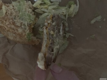 Consumer Review - Food Safety McDonald's, Pendergrass Road, Sanford, NC, USA Burger from there: bread cheese patty lettuce onions... photo #1