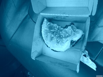 Consumer Review - Food Safety McDonald's, 5235 N Wadsworth Boulevard, Arvada, CO, USA At 1:48 pm i ordered a 1/4 lb plain and a ca... photo #3