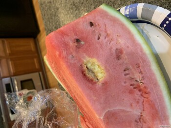 Consumer Review - Food Safety Walmart Supercenter, Blue Diamond Road, Las Vegas, NV, USA I still still very sick I purchased a wat... photo #2