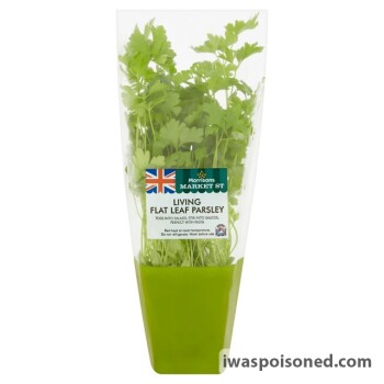 Food Recall Market Street Living Herbs - recalled because of possible Listeria monocytogenes contamination FSA a... photo #2