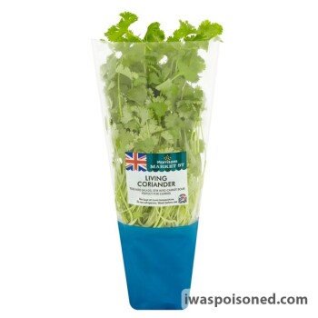 Food Recall Market Street Living Herbs - recalled because of possible Listeria monocytogenes contamination FSA a... photo #4
