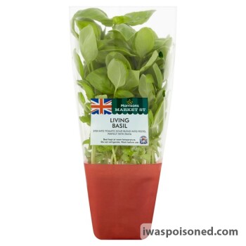 Food Recall Market Street Living Herbs - recalled because of possible Listeria monocytogenes contamination FSA a... photo #5