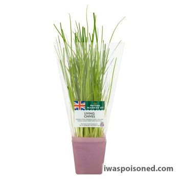Food Recall Market Street Living Herbs - recalled because of possible Listeria monocytogenes contamination FSA a... photo #7