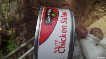Consumer Review - Food Safety Dollar General, Georgia Street, Alford, FL, USA Canned chicken salad Had made fiance chicken salad s... photo #1