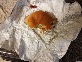 Consumer Review - Food Safety Wendy's, Bemiss Road, Valdosta, GA, USA Violently gagging trying to vomit and cant. No one but mysel... photo #3