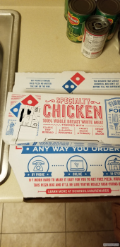Consumer Review - Food Safety Domino's Pizza, 323 North 114th Street, Omaha, NE, USA I ate some Pizza and without being too graphi... photo #4