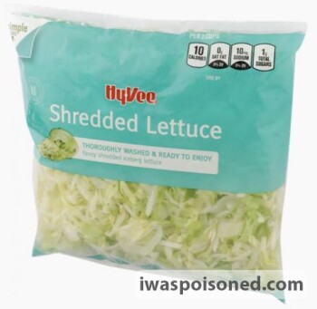 Food Recall Hy-Vee Inc. Chopped Salad Kit, Shredded Iceberg and more - recalled due to Possible Cyclospora Conta... photo #2