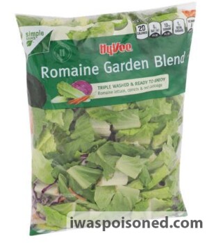 Food Recall Hy-Vee Inc. Chopped Salad Kit, Shredded Iceberg and more - recalled due to Possible Cyclospora Conta... photo #6