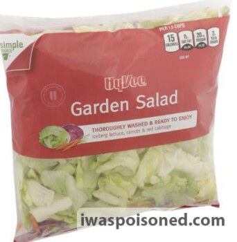 Food Recall Hy-Vee Inc. Chopped Salad Kit, Shredded Iceberg and more - recalled due to Possible Cyclospora Conta... photo #10