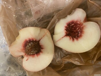消费者评论 - 食品安全 Publix Super Market at Sugar Hill Corners, Cumming Highway Northeast, Sugar Hill, GA, USA Ate a peac... 照片 #2