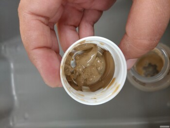 Consumer Review - Food Safety Dunkin' Donuts, Philadelphia, PA, USA I bought a bottle iced coffee by them. The last sip, was rubbe... photo #3