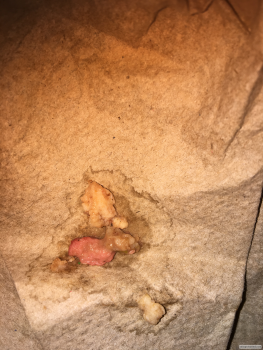 Consumer Review - Food Safety Jack in the Box, Camden Avenue, Campbell, CA, USA We stopped at around midnight , I was driving and... photo #2