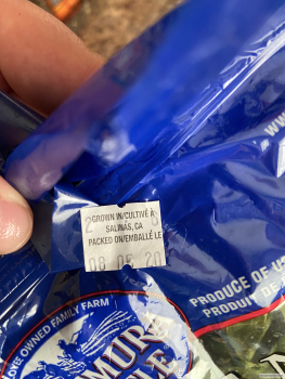 Consumer Review - Food Safety Safeway, 601 South Pioneer Way, Moses Lake, WA 98837, United States Purchased two small heads of rom... photo #1