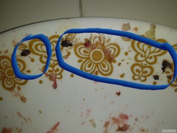 Consumer Review - Food Safety Sara Lee Classic Strawberry Cheesecake, Food 4 Less, Highland Avenue, Highland, CA 92346, USA Mice d... photo #3