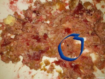 Consumer Review - Food Safety Sara Lee Classic Strawberry Cheesecake, Food 4 Less, Highland Avenue, Highland, CA 92346, USA Mice d... photo #6