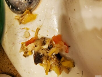 Consumer Review - Food Safety Anthony's HomePort Everett, West Marine View Drive, Everett, WA, USA Clams and/or shrimp had anniver... photo #2
