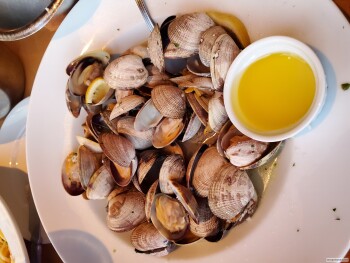 Consumer Review - Food Safety Anthony's HomePort Everett, West Marine View Drive, Everett, WA, USA Clams and/or shrimp had anniver... photo #3