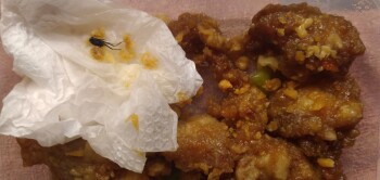 Consumer Food Safety Report Salt and pepper spareri, Diao Eng Chay, Wilson, San Juan, Metro Manila, Philippines I ate salt and p... photo #2