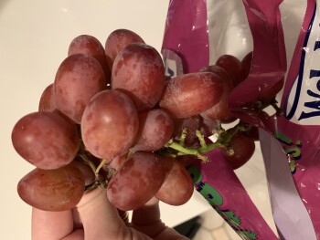 Consumer Review - Food Safety Red grapes (Welches), Hannaford Supermarket, Quaker Road, Queensbury, NY, USA I have been eating a f... photo #2