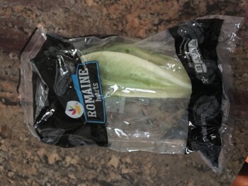 Consumer Review - Food Safety Stop & Shop, Massachusetts Avenue, Arlington, MA, USA Romaine lettuce Both of us Ate salads and abou... photo #1