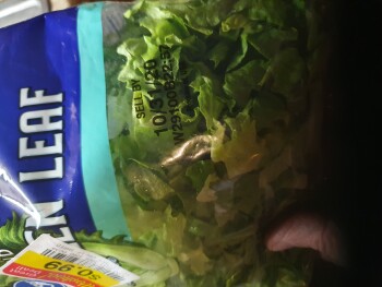 Consumer Review - Food Safety Kroger Marketplace, West 5th Street, Marysville, OH, USA Lettuce It was only me. My boyfriend didn't... photo #5