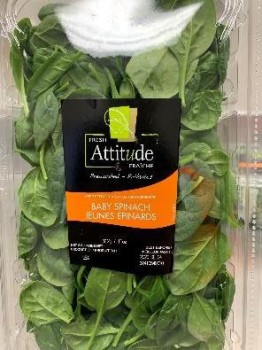 食品召回 Fresh Attitude Baby spinach - recalled due to Salmonella Company name: Vegpro International 
Brand n... 照片 #3