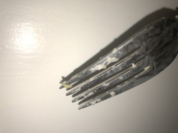 消费者评论 - 食品安全 Kroger, West 71st Street, Indianapolis, IN, USA Marie Calendar pasta meal. Maggots found after consu... 照片 #7