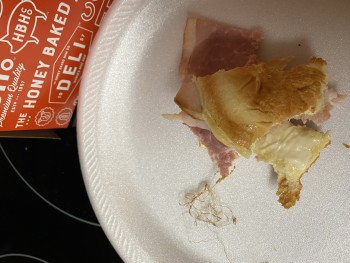Avis du consommateur - Sécurité alimentaire The Honey Baked Ham Company, Georgia 138, Stockbridge, GA, USA On Nov 20, 2020 I received several bo... photo #2