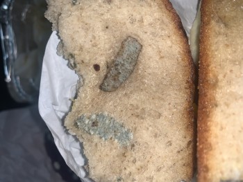 Consumer Review - Food Safety Dunkin', 7602 13th Ave, Brooklyn, NY 11228, USA On December 11th, I bought food there, and the new p... photo #2