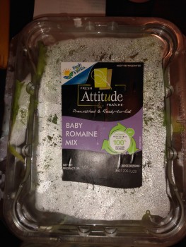 Consumer Review - Food Safety Attitude Fraiche Baby Romaine Mix, Publix Super Market at Palm Lakes Plaza, 7230 W Atlantic Blvd, Ma... photo #2