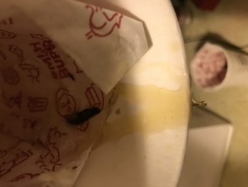Consumer Review - Food Safety Smashburger, West Franklin Road, Boise, ID, USA Extremely Healthy man, On 12/17/2020 I was sick 4 da... photo #1