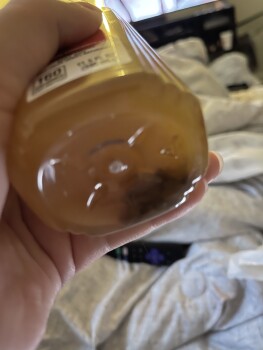 Consumer Review - Food Safety Subway, Gender Road, Canal Winchester, OH, USA Today they gave me molded apple juice and I’m pregnan... photo #1